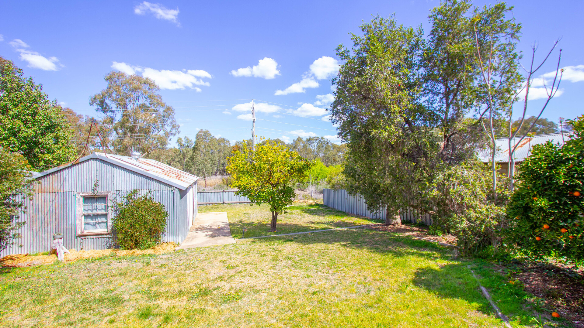 162 Larmer Street, Narrandera NSW 2700 - photo 12