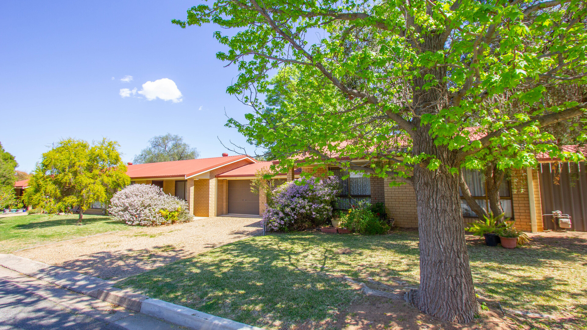22 Dundas Street, Narrandera NSW 2700 - photo 14
