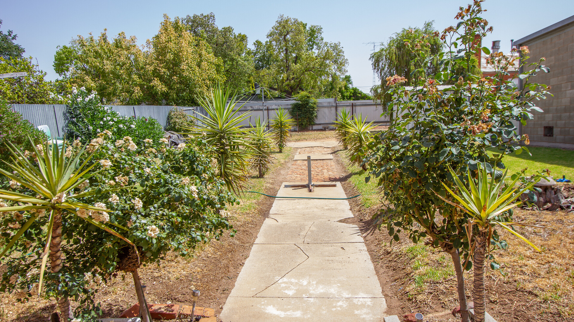 15 Douglas Street, Narrandera NSW 2700 - photo 5