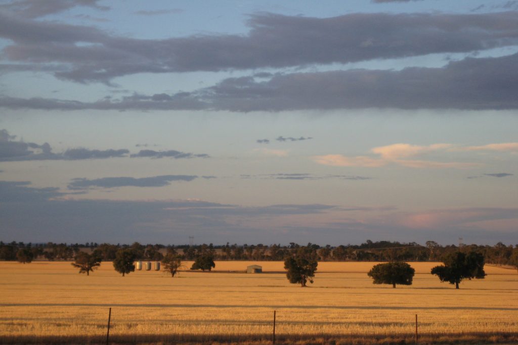 1371 Sandigo Road, Boree Creek NSW 2652 - photo 2