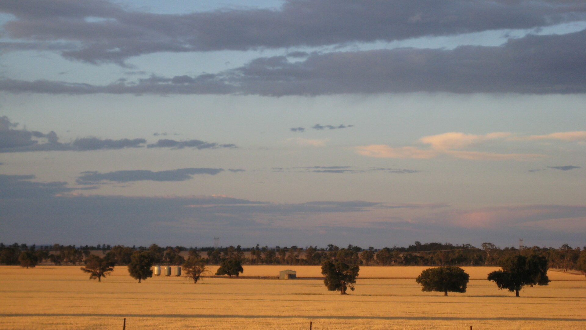 1371 Sandigo Road, Boree Creek NSW 2652 - photo 2