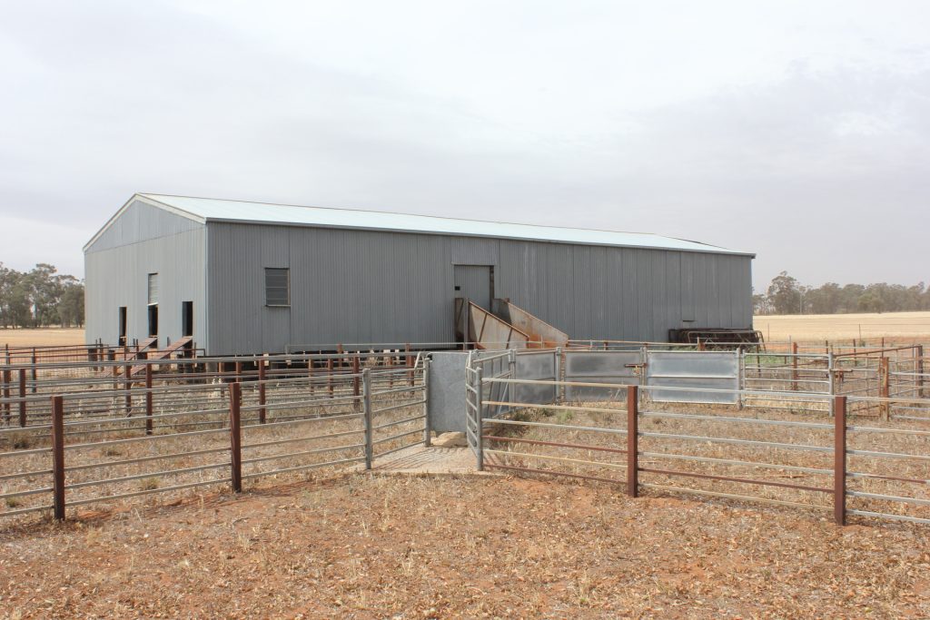 1371 Sandigo Road, Boree Creek NSW 2652 - photo 7