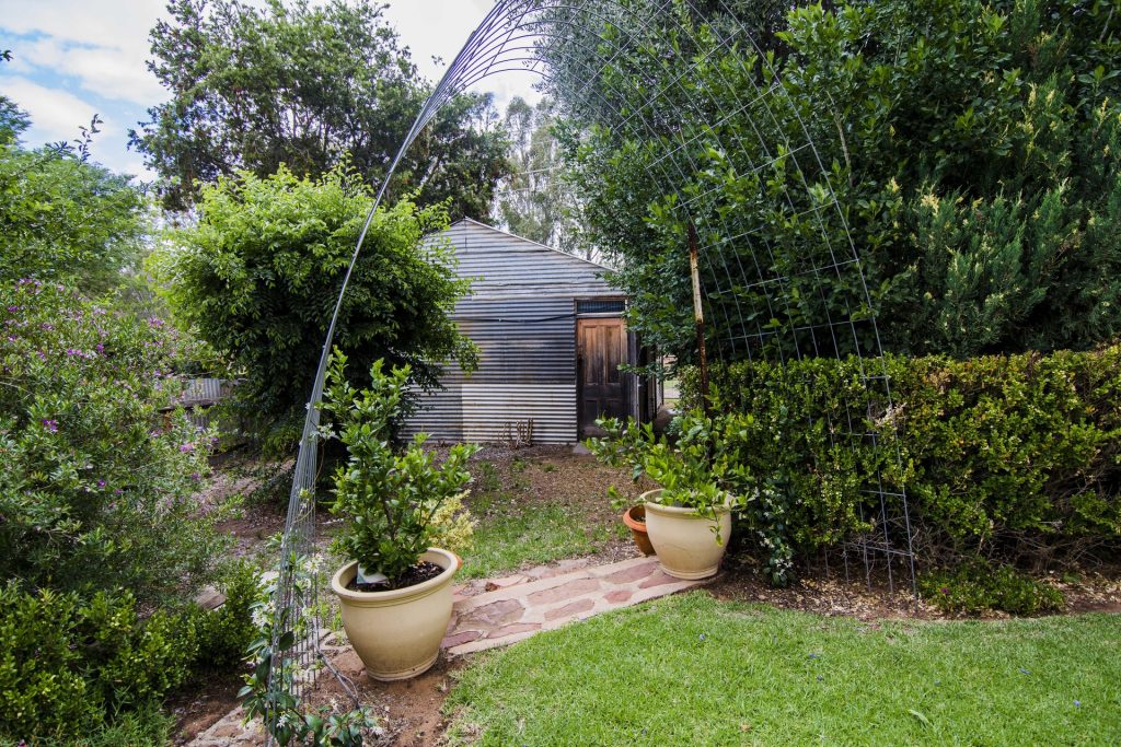 154 Larmer Street, Narrandera NSW 2700 - photo 23