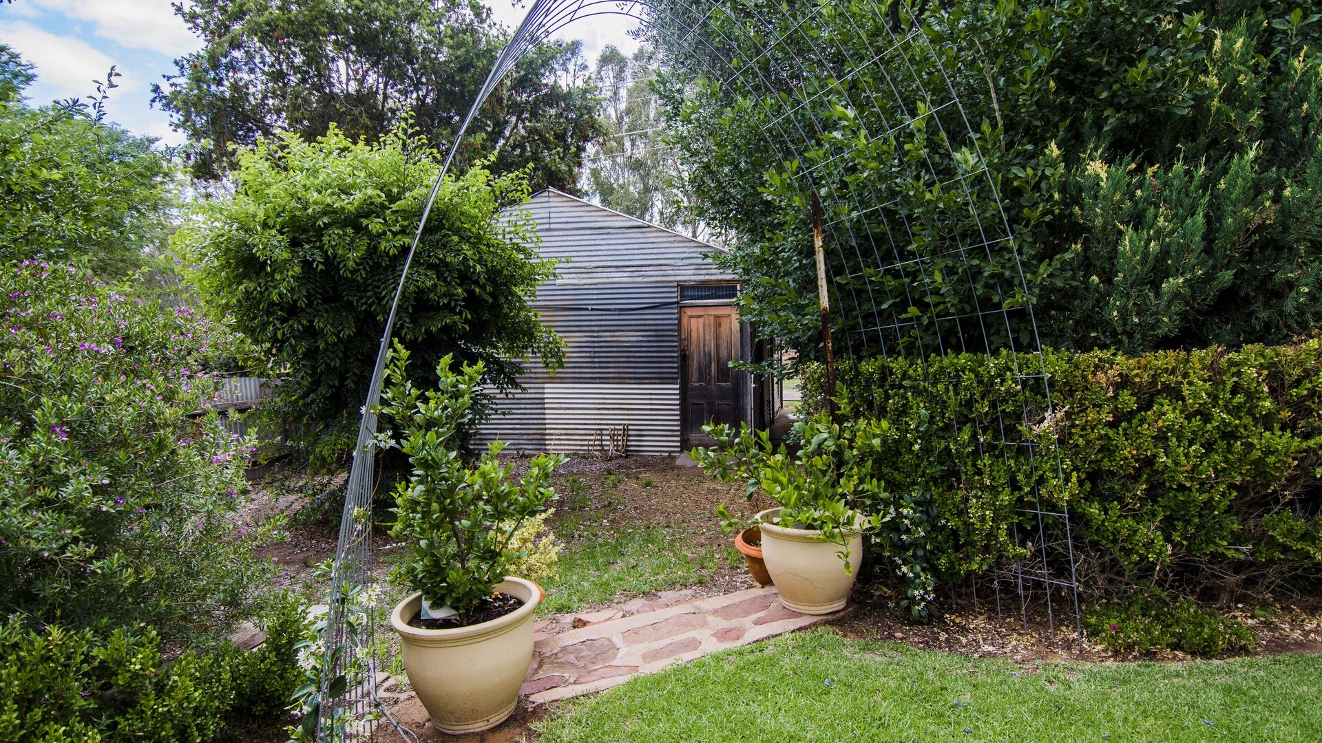 154 Larmer Street, Narrandera NSW 2700 - photo 23