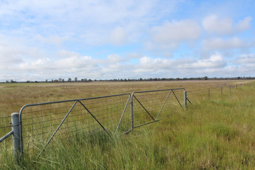 57 Newell Highway, Gillenbah NSW 2700 - photo 13