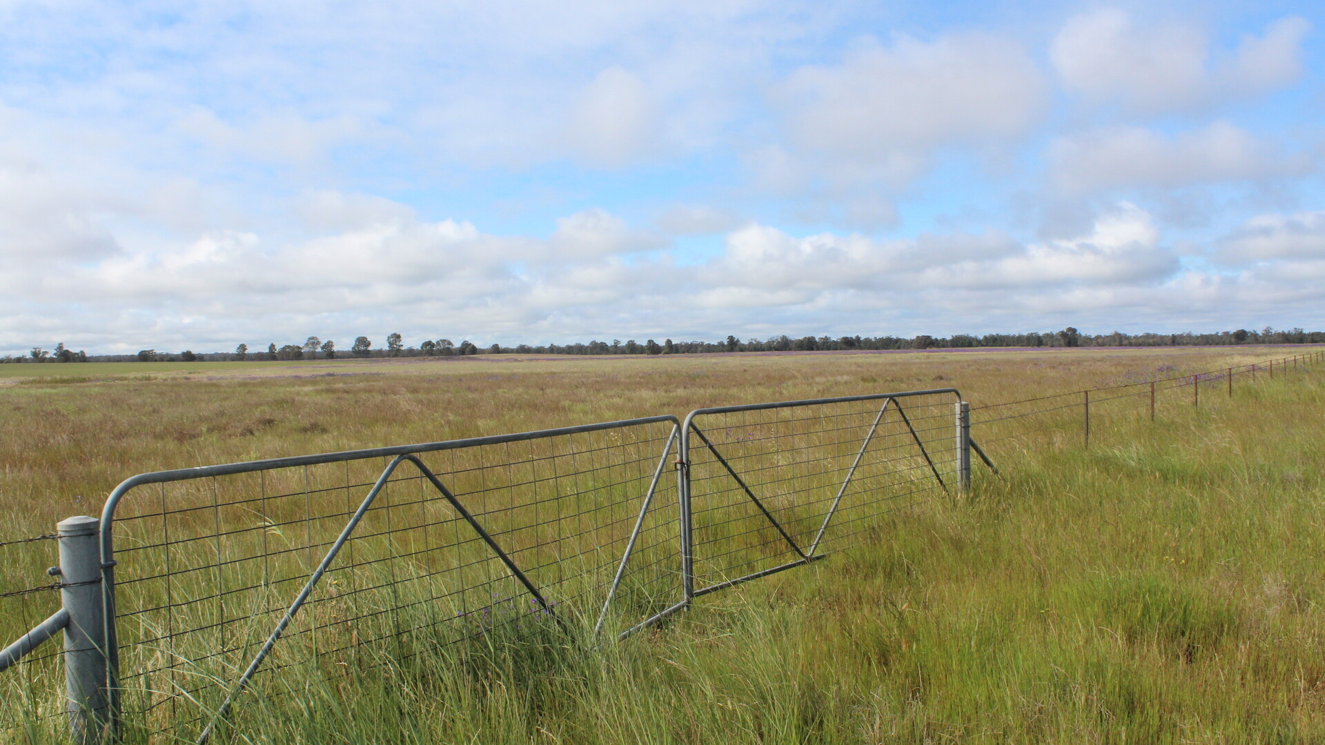 57 Newell Highway, Gillenbah NSW 2700 - photo 13
