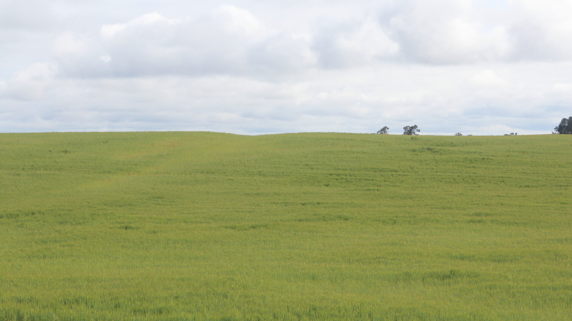 57 Newell Highway, Gillenbah NSW 2700 - photo 4