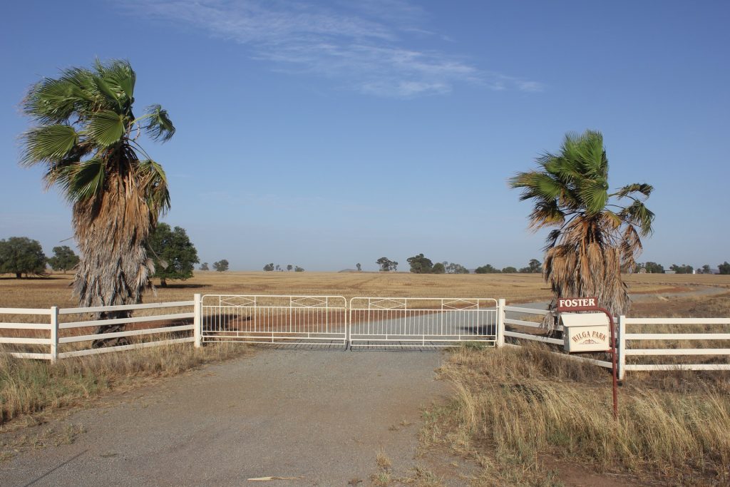 3819 Newell Highway, Grong Grong NSW 2652 - photo 3