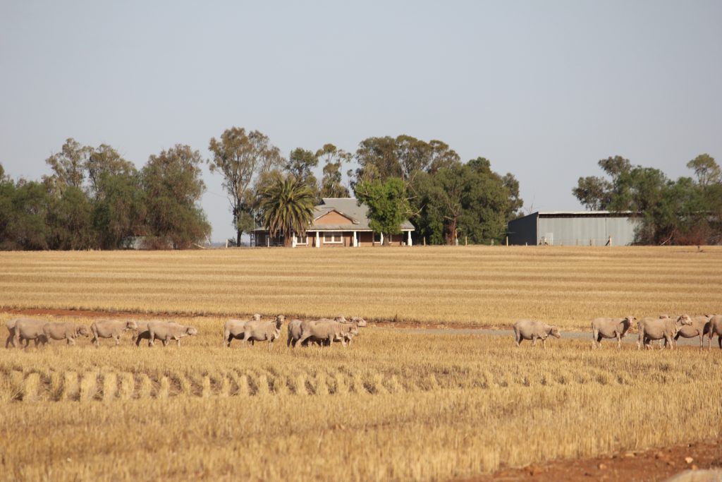 3819 Newell Highway, Grong Grong NSW 2652 - photo 6