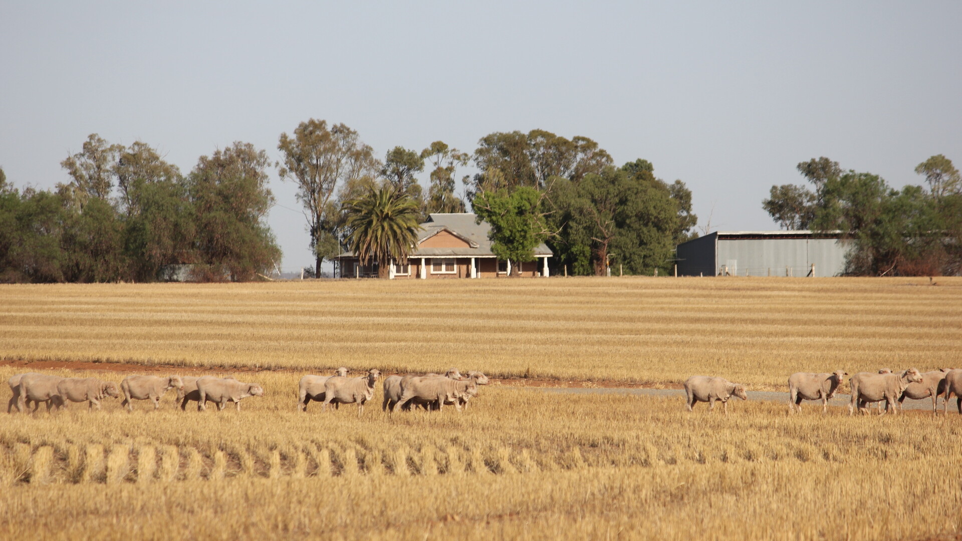 3819 Newell Highway, Grong Grong NSW 2652 - photo 6