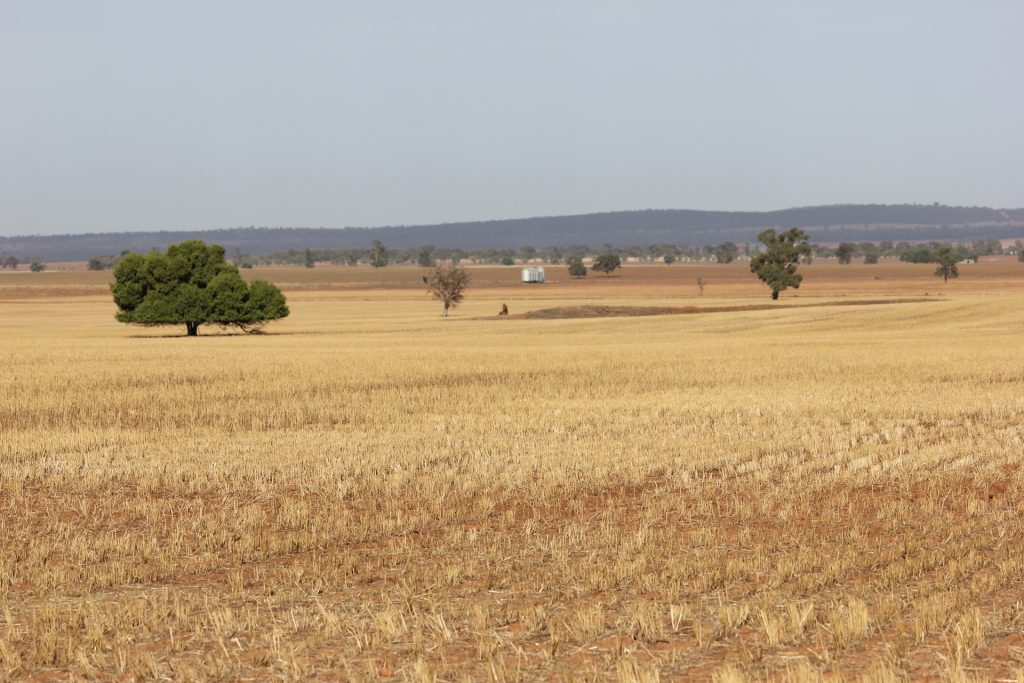 3819 Newell Highway, Grong Grong NSW 2652 - photo 8