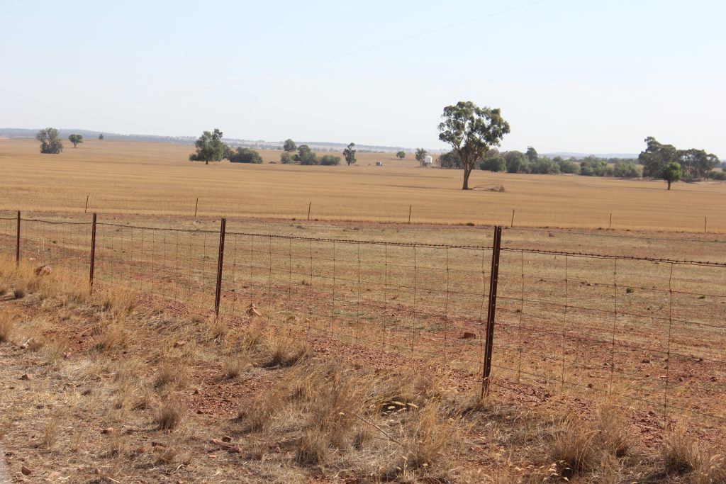 3819 Newell Highway, Grong Grong NSW 2652 - photo 9