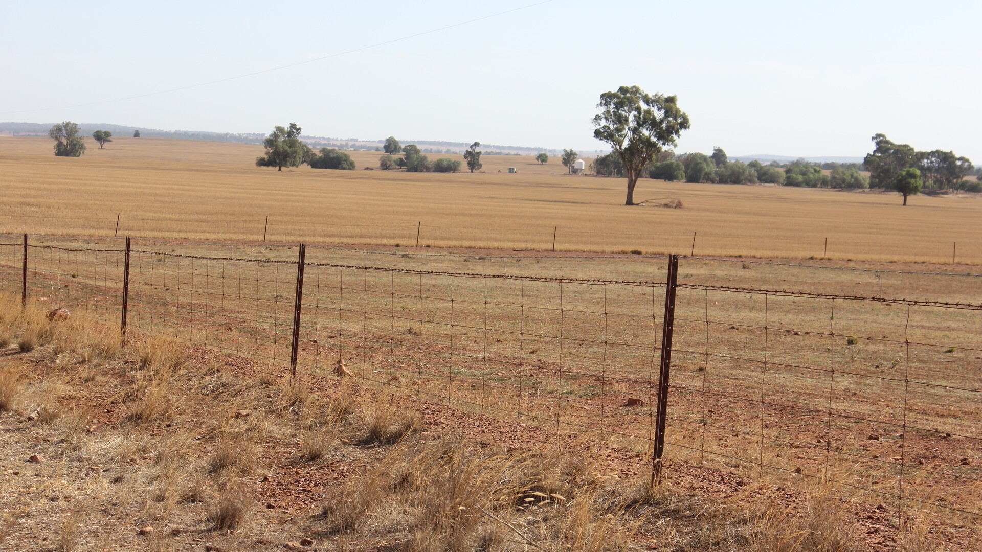 3819 Newell Highway, Grong Grong NSW 2652 - photo 9