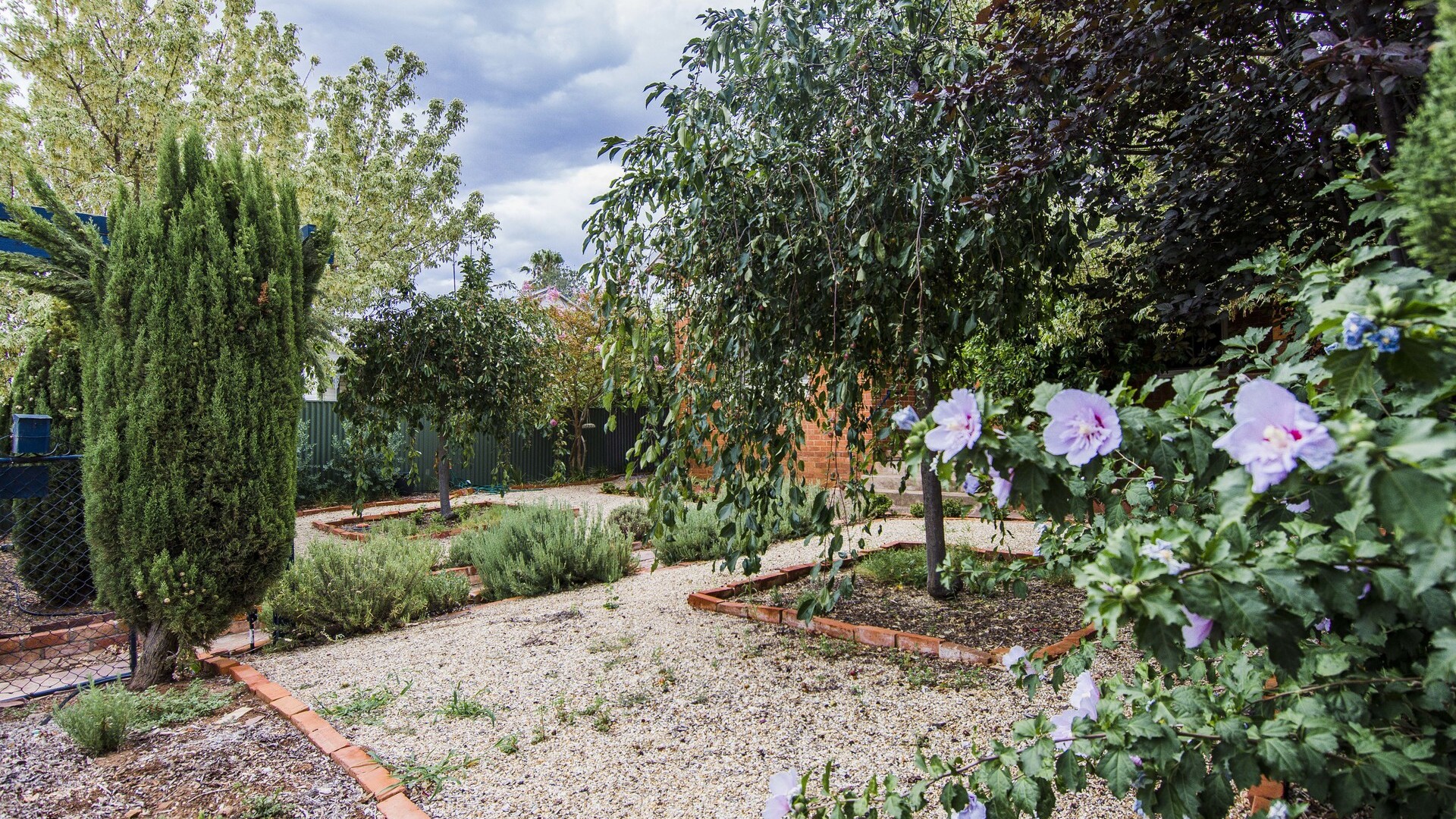 17 Douglas Street, Narrandera NSW 2700 - photo 18