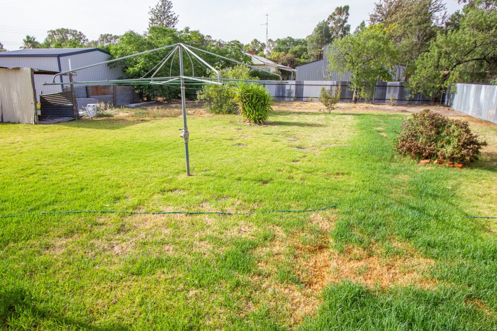 24 Argus Street, Narrandera NSW 2700 - photo 13
