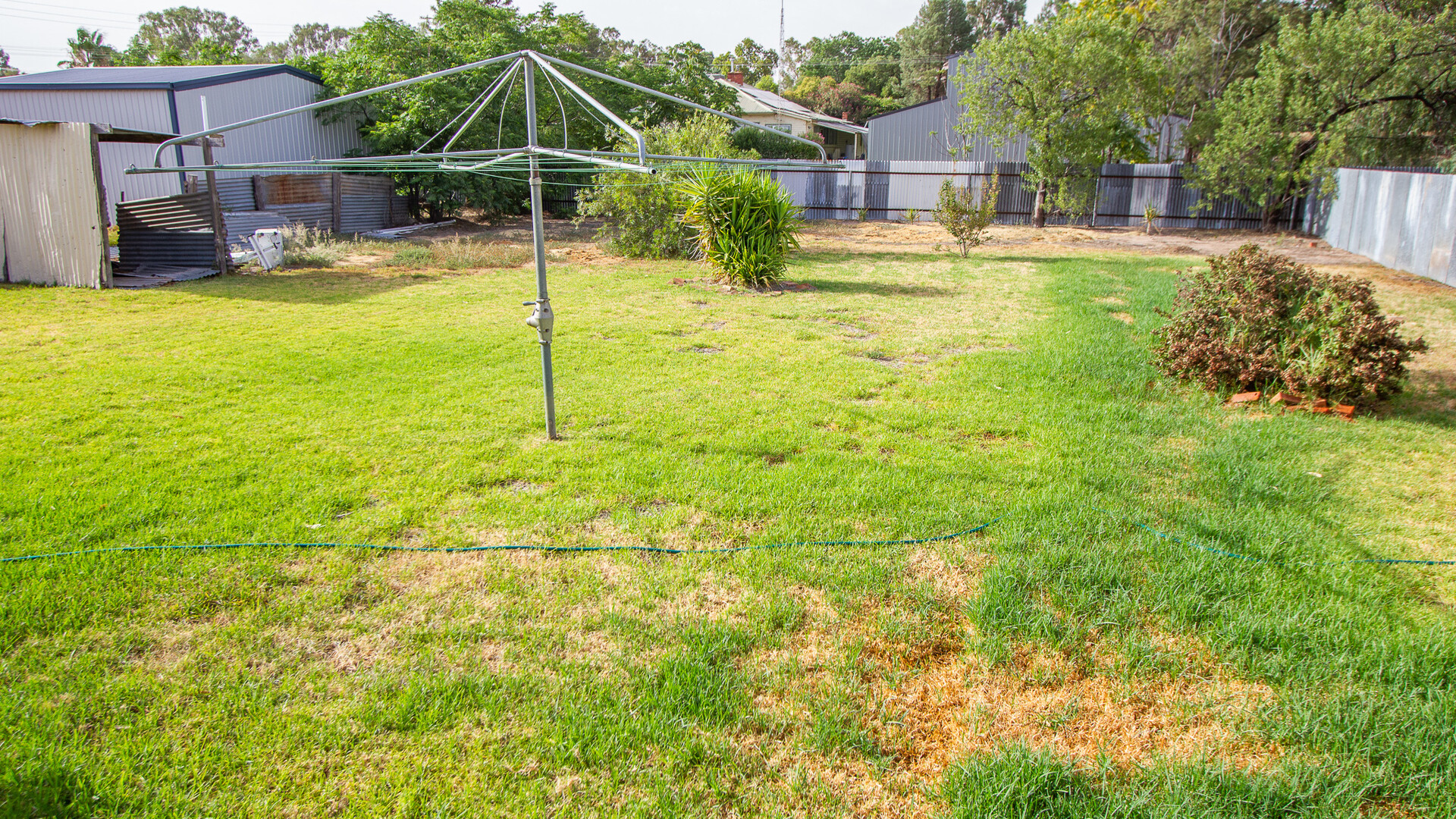 24 Argus Street, Narrandera NSW 2700 - photo 13