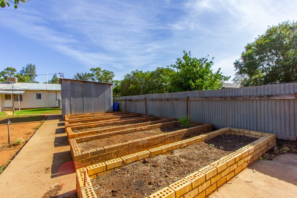51 Mallee Street, Barellan NSW 2665 - photo 11