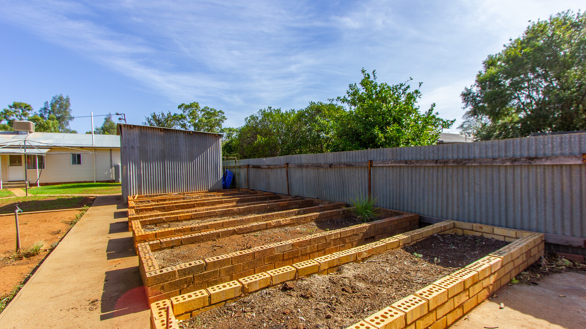 51 Mallee Street, Barellan NSW 2665 - photo 11