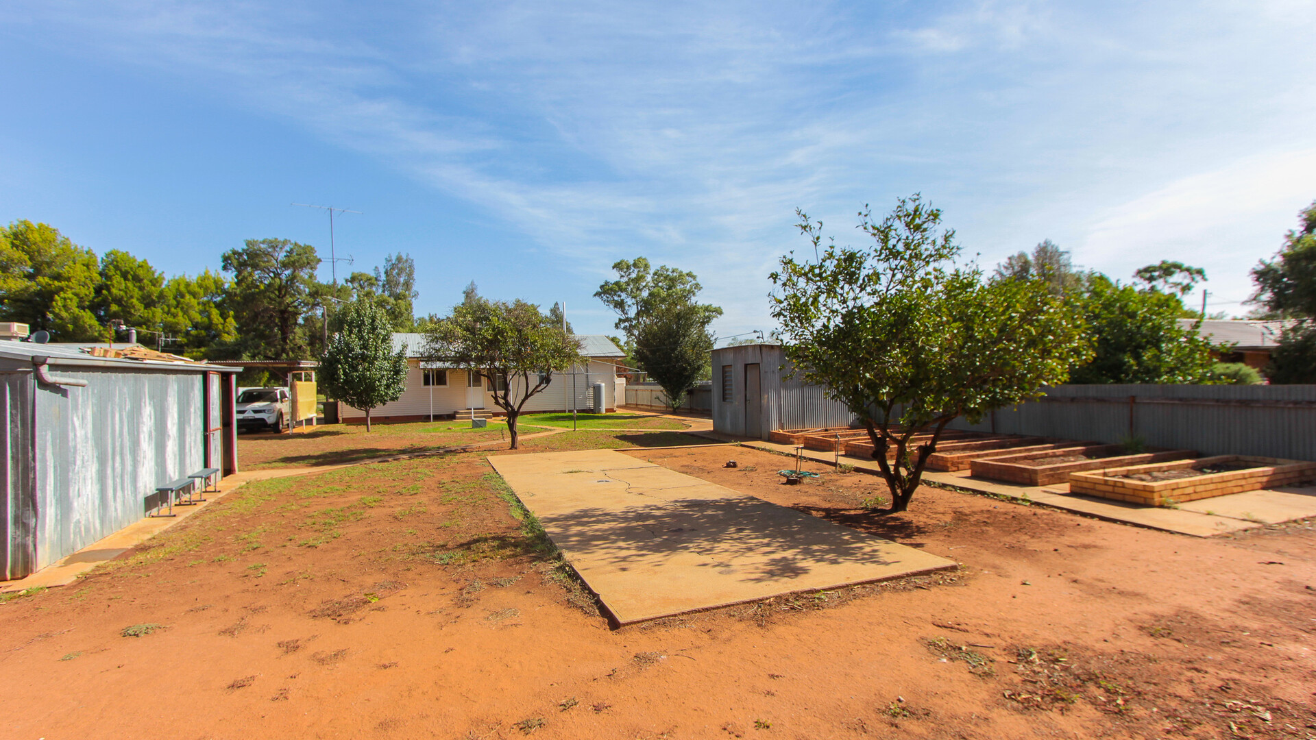 51 Mallee Street, Barellan NSW 2665 - photo 12