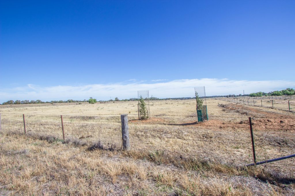 Lot 11/134 Back Dixonville Road, Narrandera NSW 2700 - photo 3