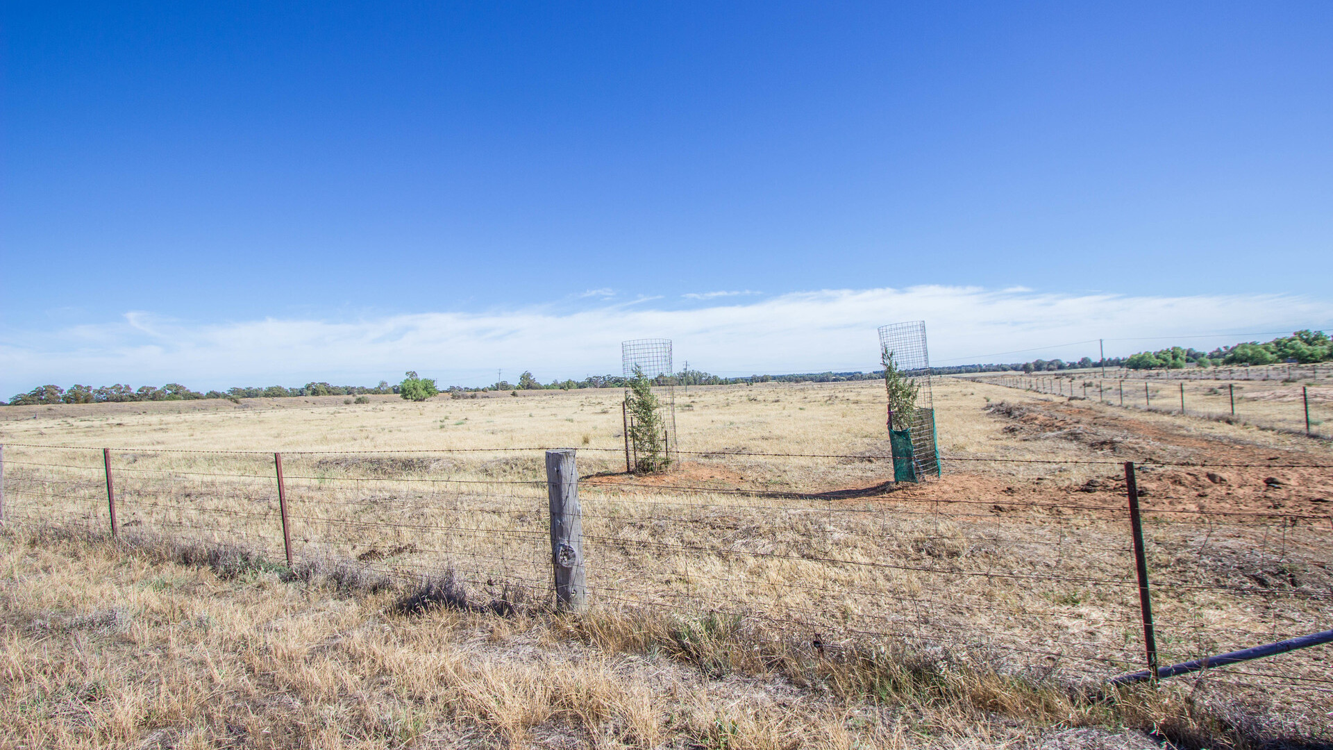 Lot 11/134 Back Dixonville Road, Narrandera NSW 2700 - photo 3