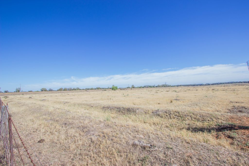 Lot 11/134 Back Dixonville Road, Narrandera NSW 2700 - photo 4
