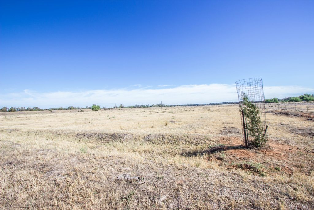 Lot 11/134 Back Dixonville Road, Narrandera NSW 2700 - photo 5