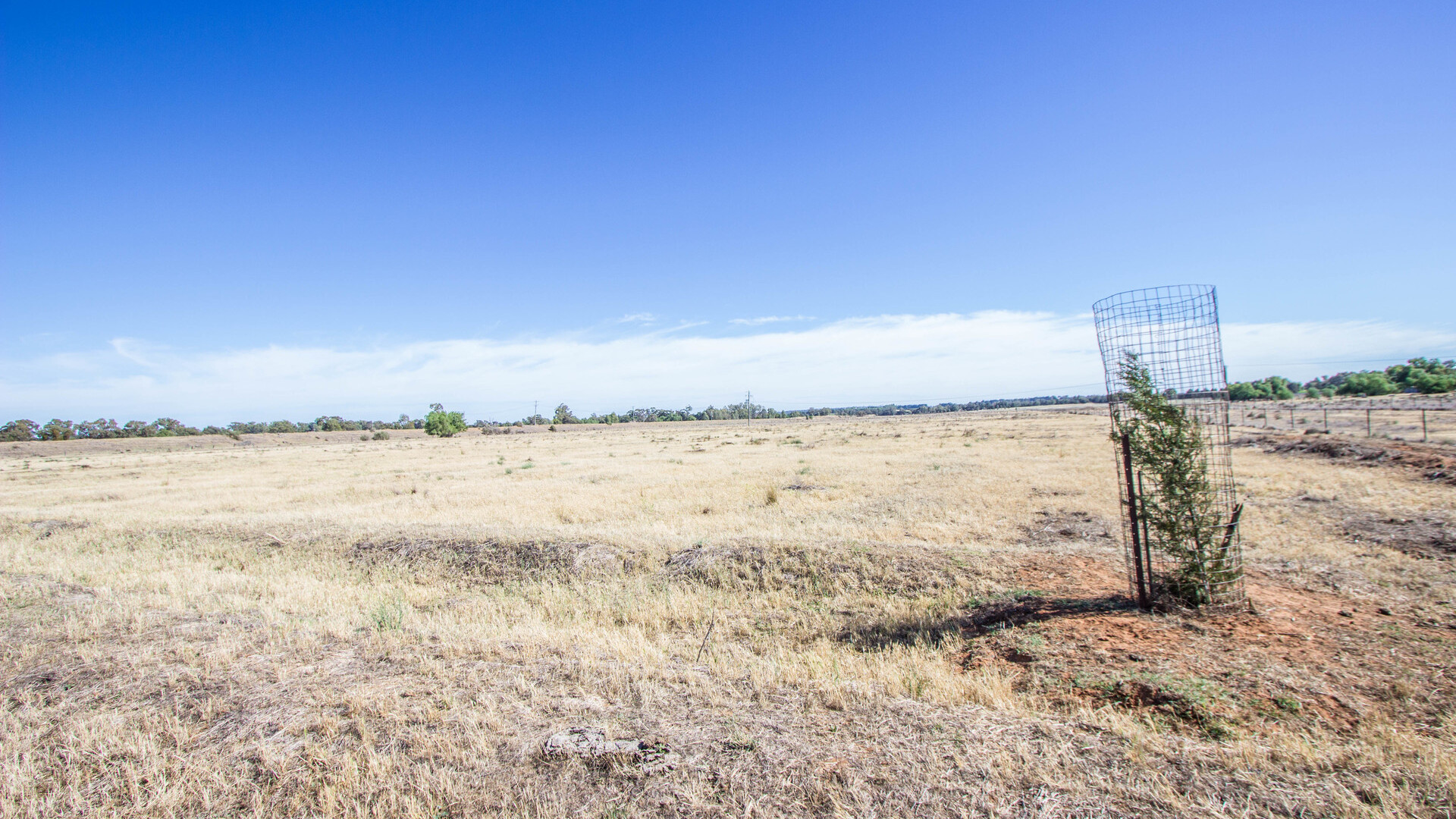 Lot 11/134 Back Dixonville Road, Narrandera NSW 2700 - photo 5