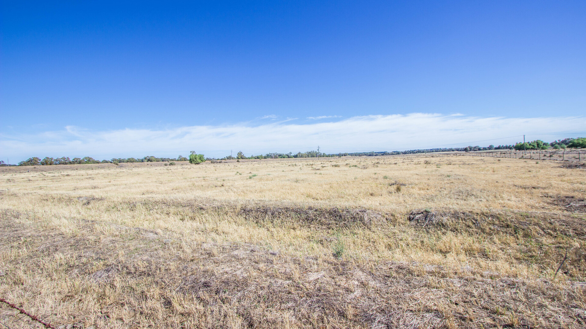 Lot 11/134 Back Dixonville Road, Narrandera NSW 2700 - photo 6