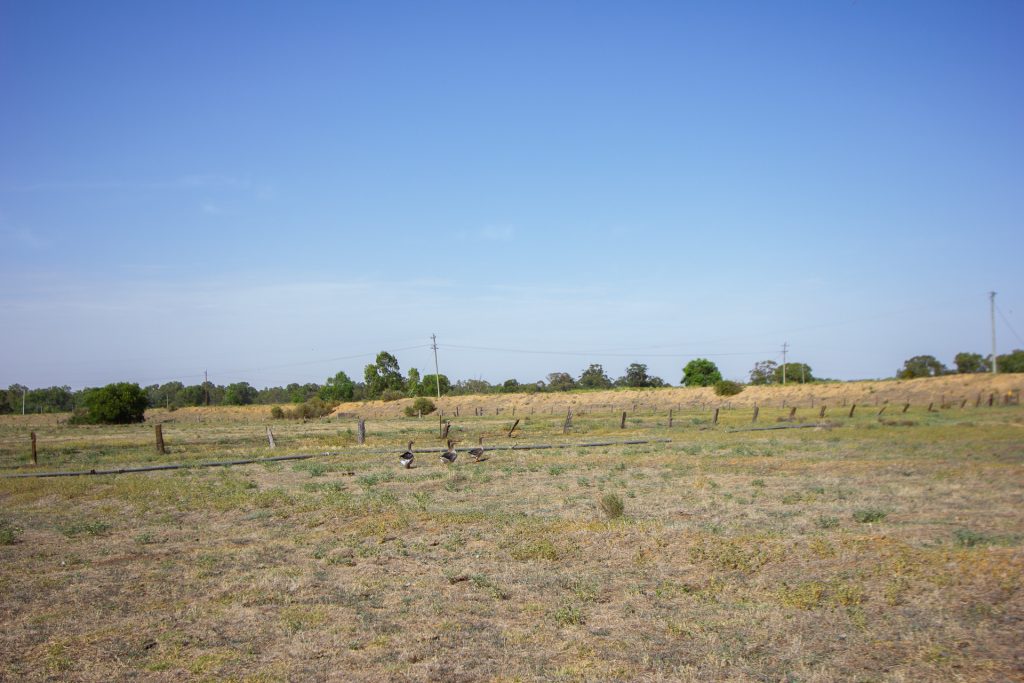 Lot 11/134 Back Dixonville Road, Narrandera NSW 2700 - photo 7