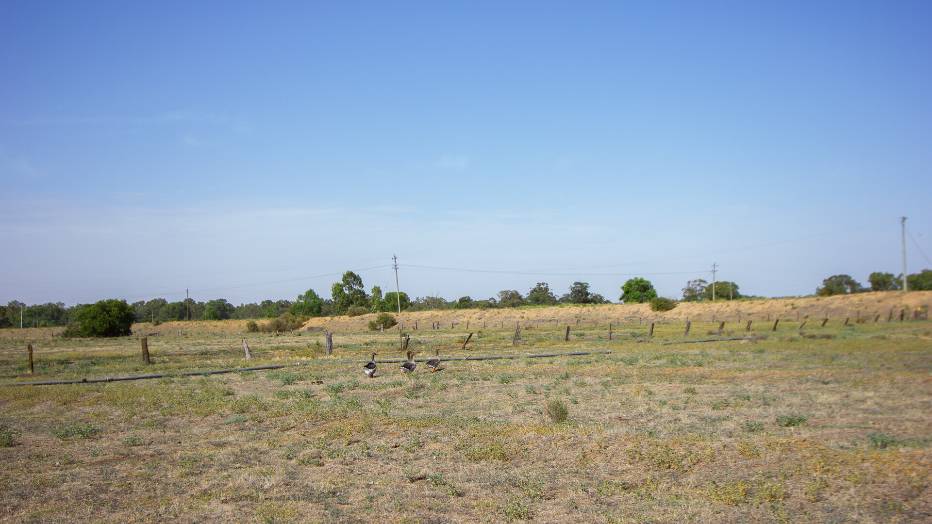 Lot 11/134 Back Dixonville Road, Narrandera NSW 2700 - photo 7