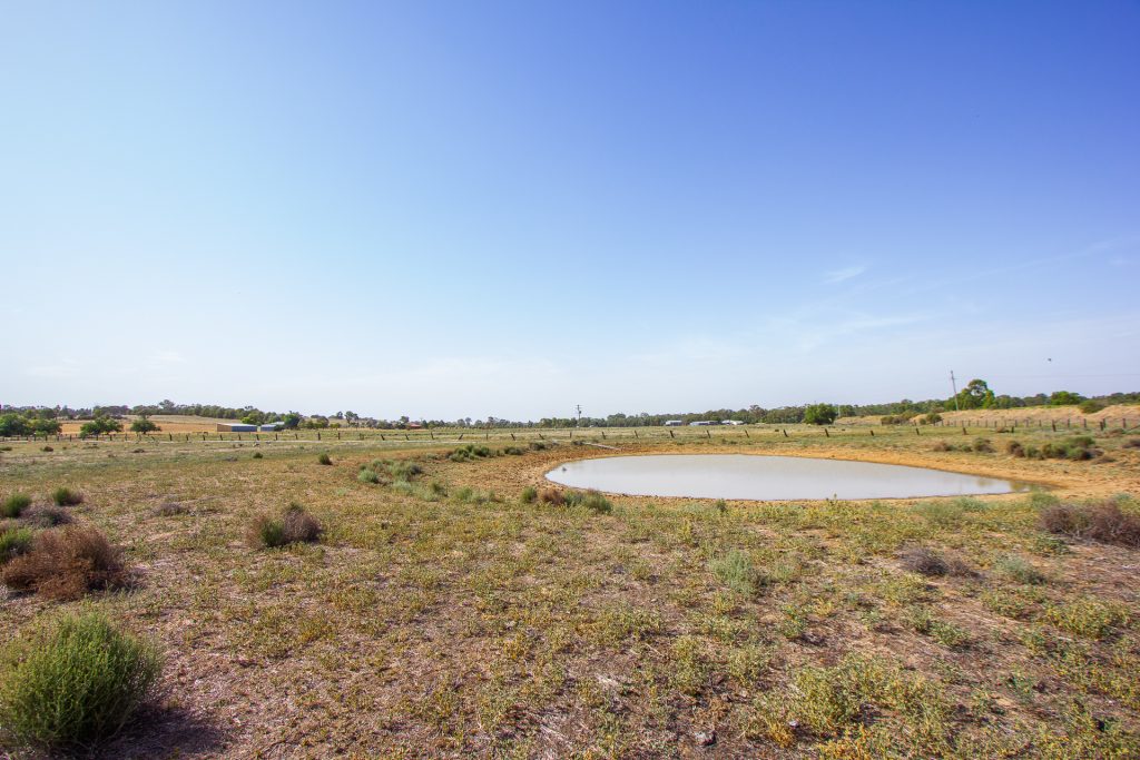 Lot 11/134 Back Dixonville Road, Narrandera NSW 2700 - photo 8