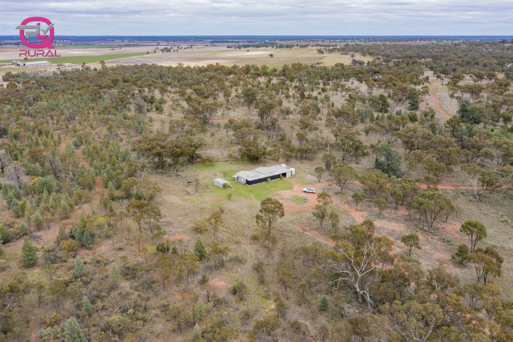 452 Merungle Hill Road, Leeton NSW 2705 - photo 2