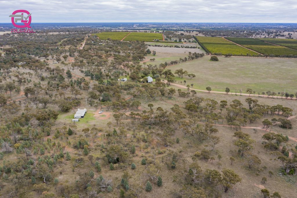 452 Merungle Hill Road, Leeton NSW 2705 - photo 3