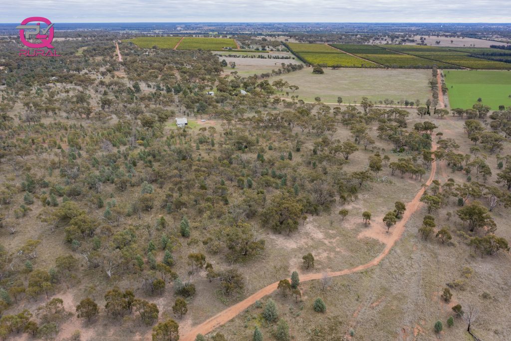 452 Merungle Hill Road, Leeton NSW 2705 - photo 5