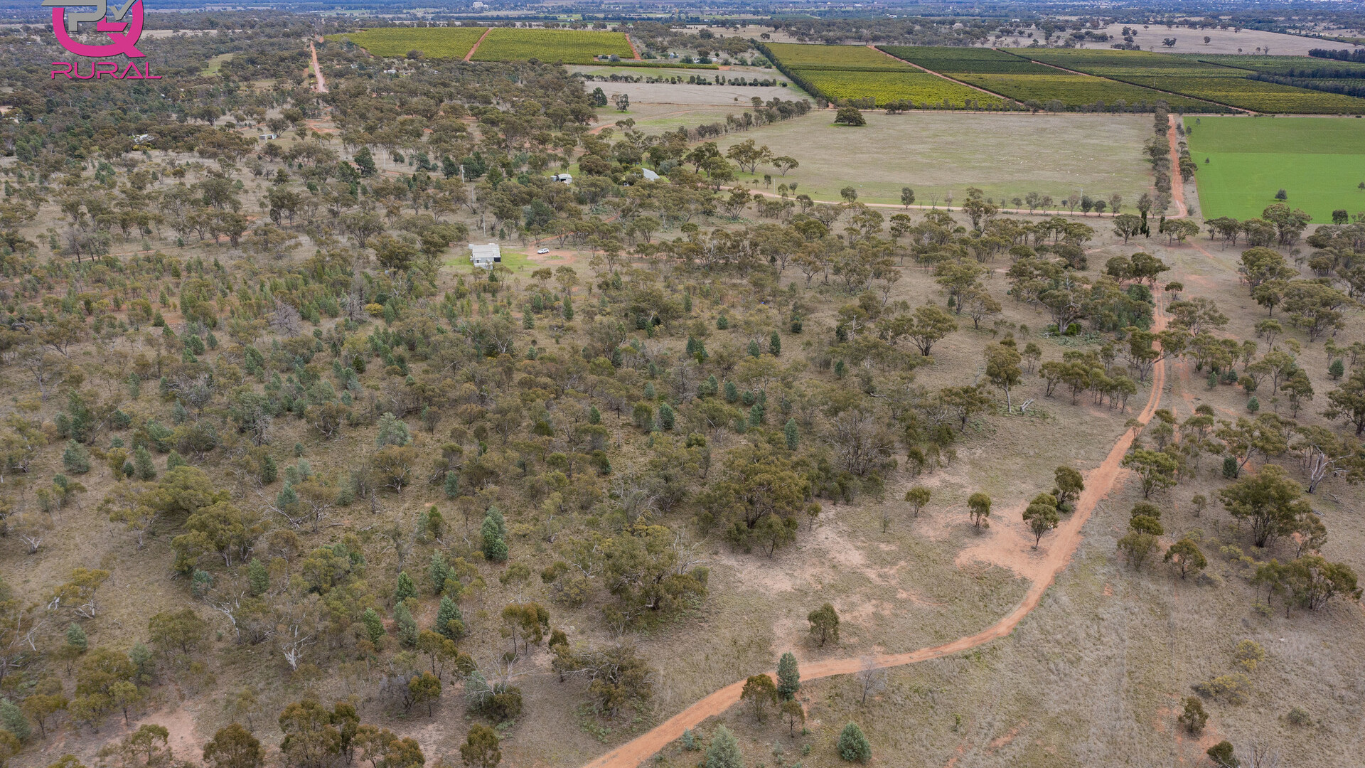 452 Merungle Hill Road, Leeton NSW 2705 - photo 5