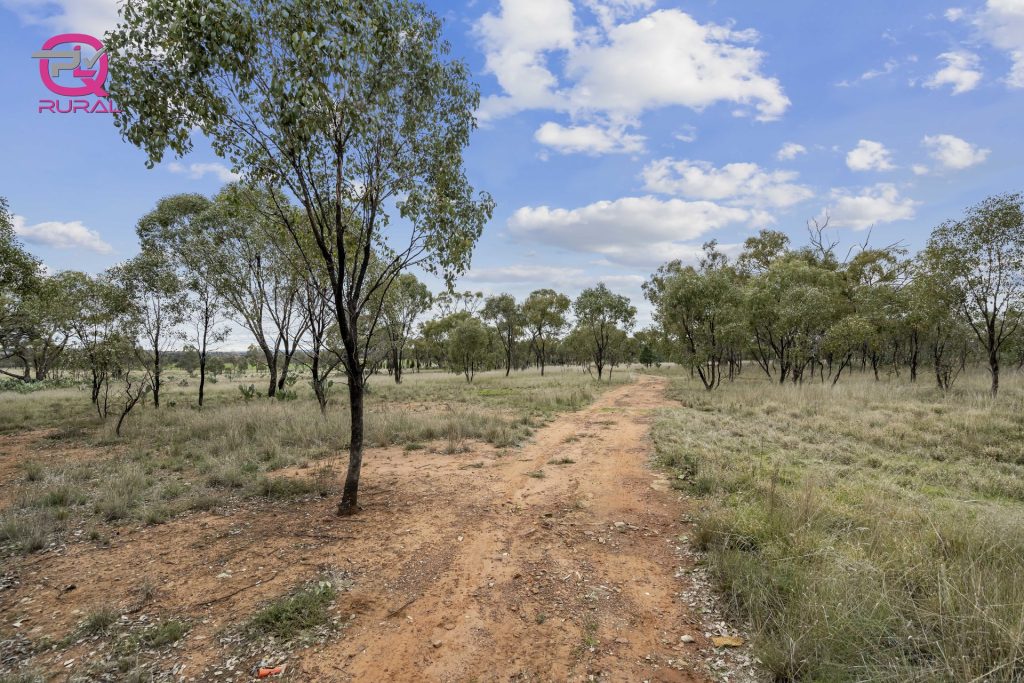 452 Merungle Hill Road, Leeton NSW 2705 - photo 6