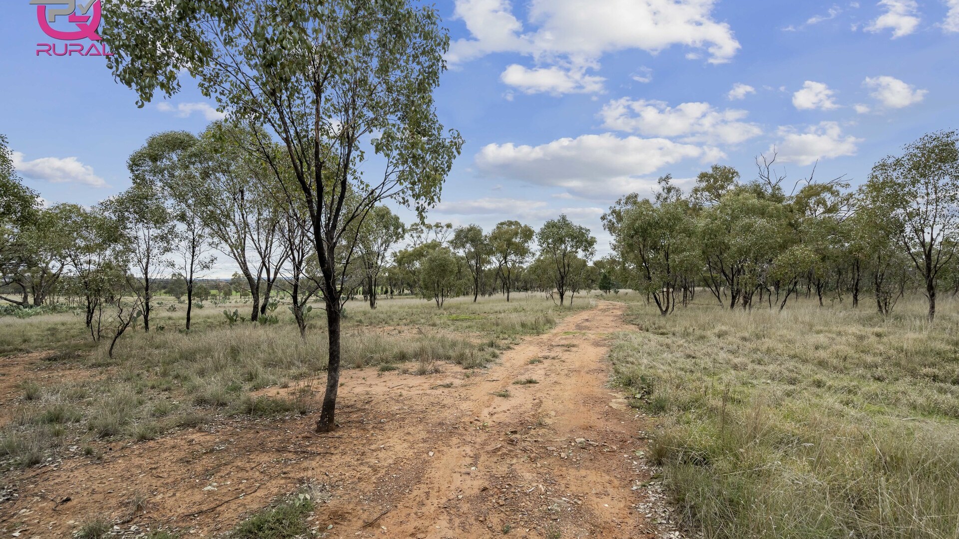 452 Merungle Hill Road, Leeton NSW 2705 - photo 6