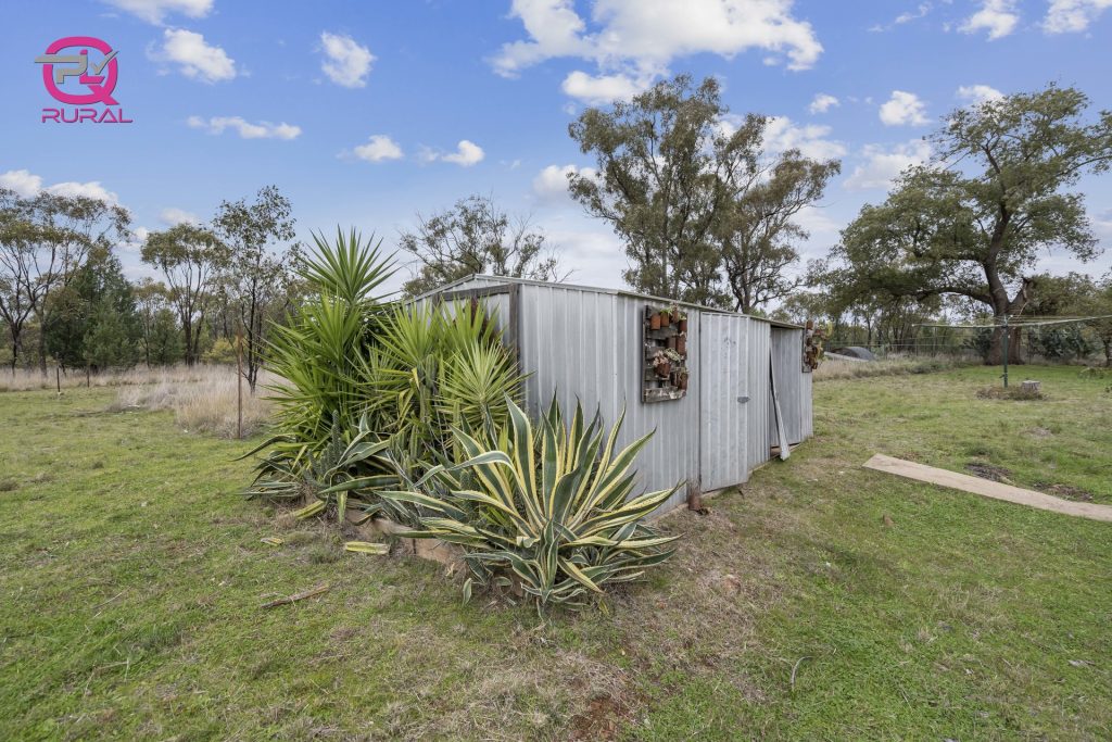 452 Merungle Hill Road, Leeton NSW 2705 - photo 9