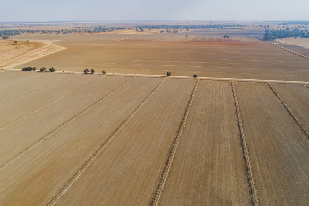 11497 Newell Highway, Morundah NSW 2700 - photo 2