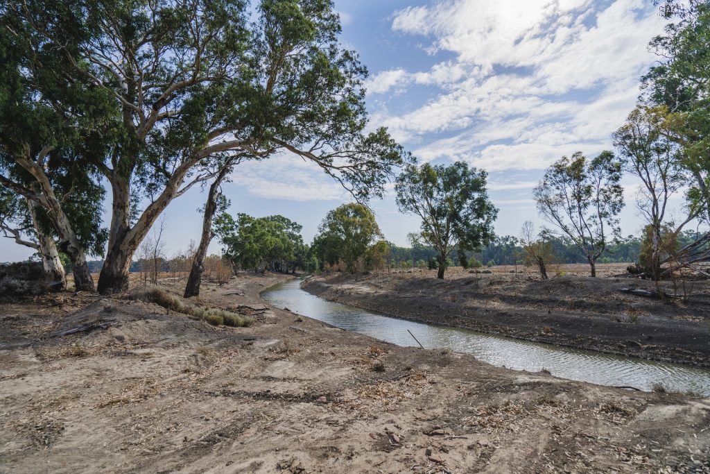 11497 Newell Highway, Morundah NSW 2700 - photo 12