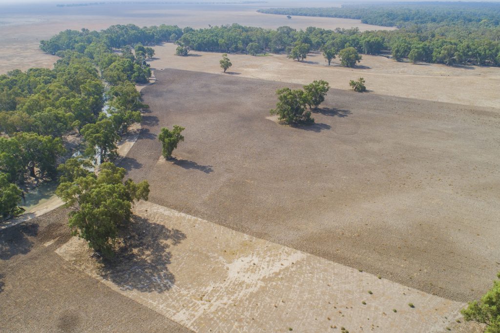 11497 Newell Highway, Morundah NSW 2700 - photo 4