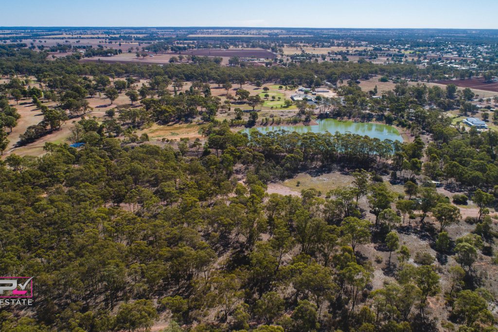 2 Websters Lane, Temora NSW 2666 - photo 4