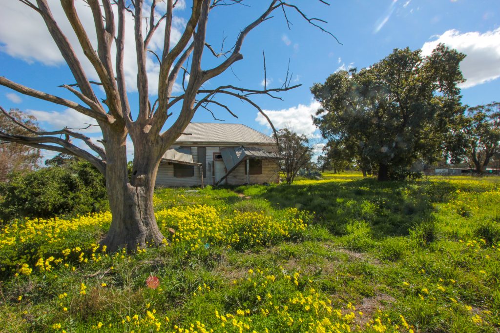 2-6 Adams Street, Narrandera NSW 2700 - photo 2