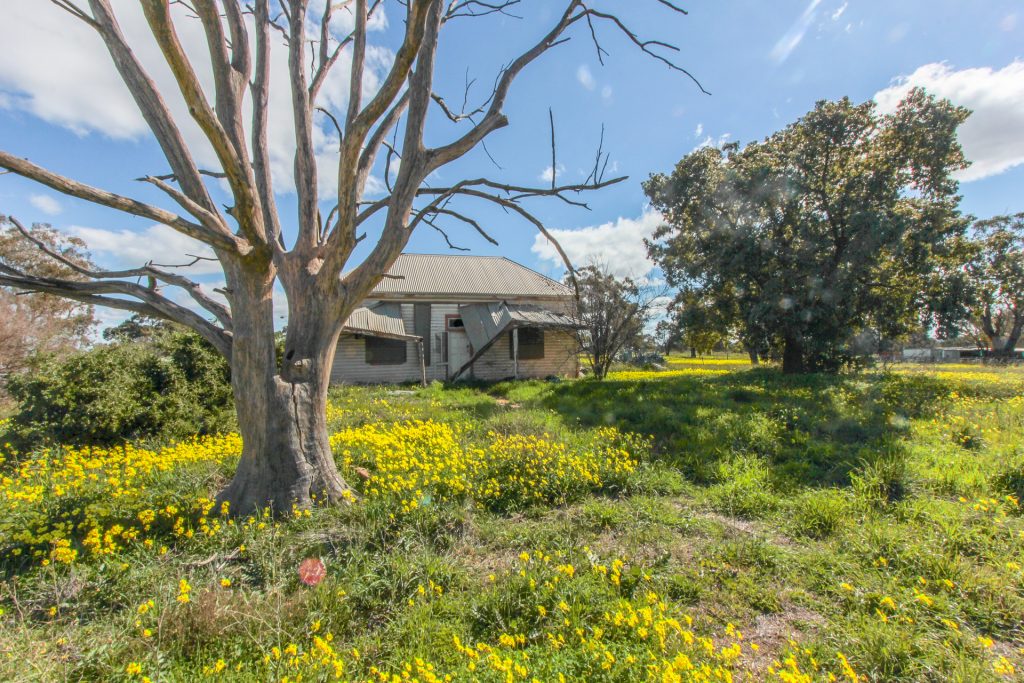 2-6 Adams Street, Narrandera NSW 2700 - McGrath Riverina