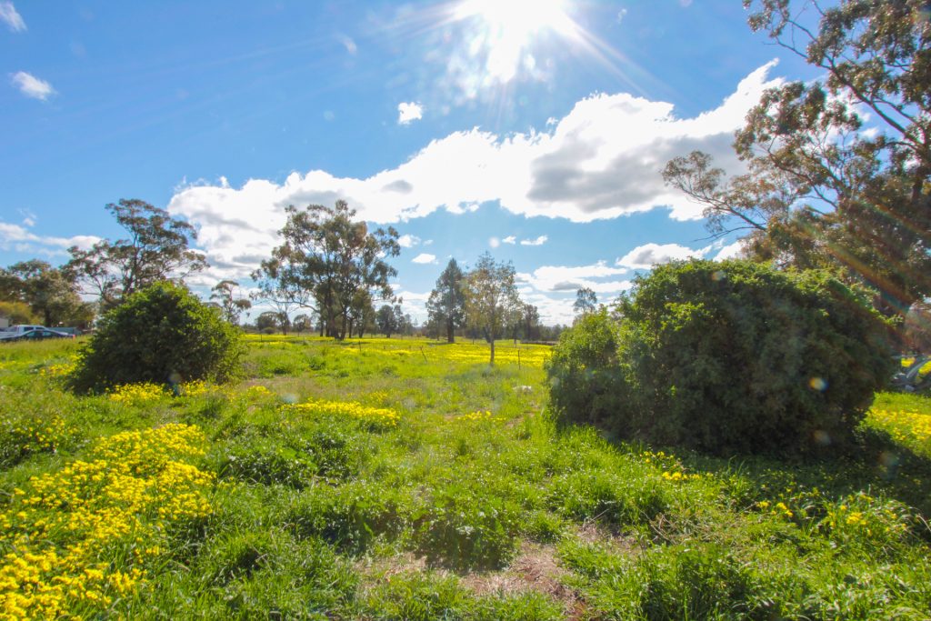 2-6 Adams Street, Narrandera NSW 2700 - photo 5