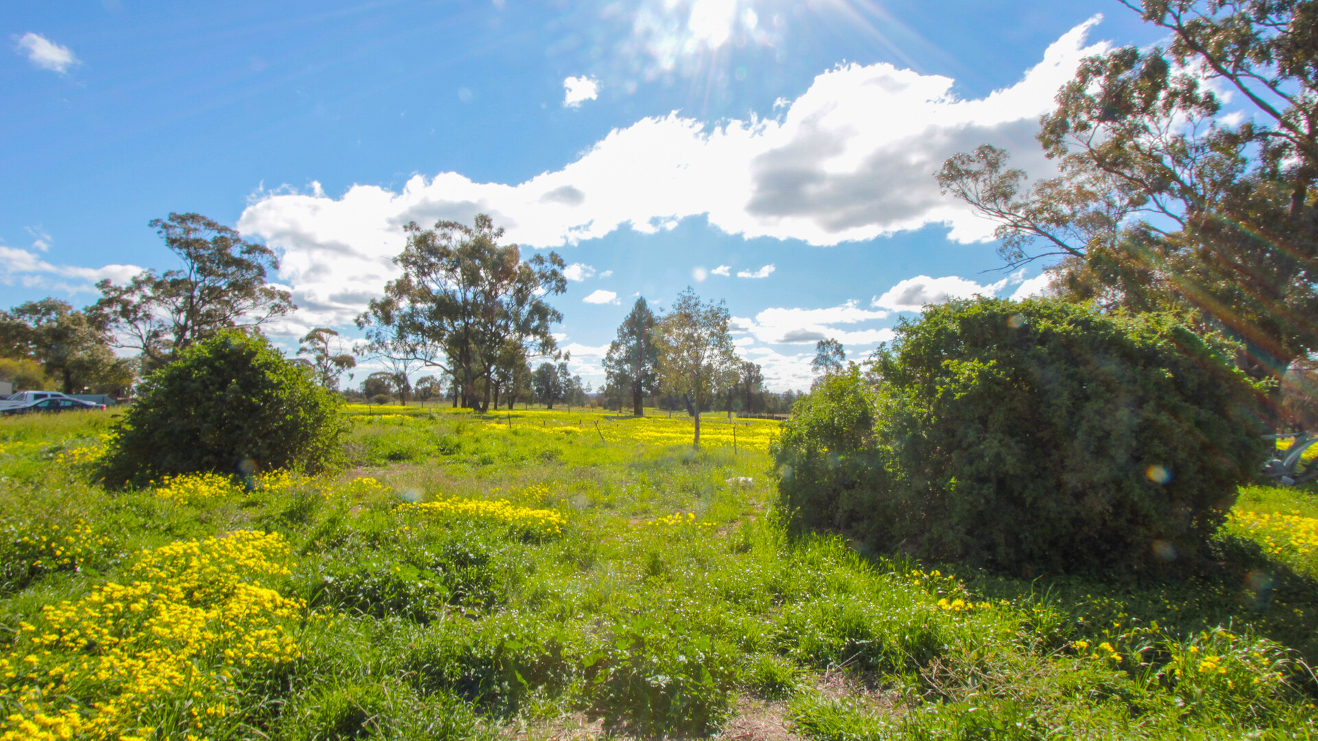 2-6 Adams Street, Narrandera NSW 2700 - photo 5