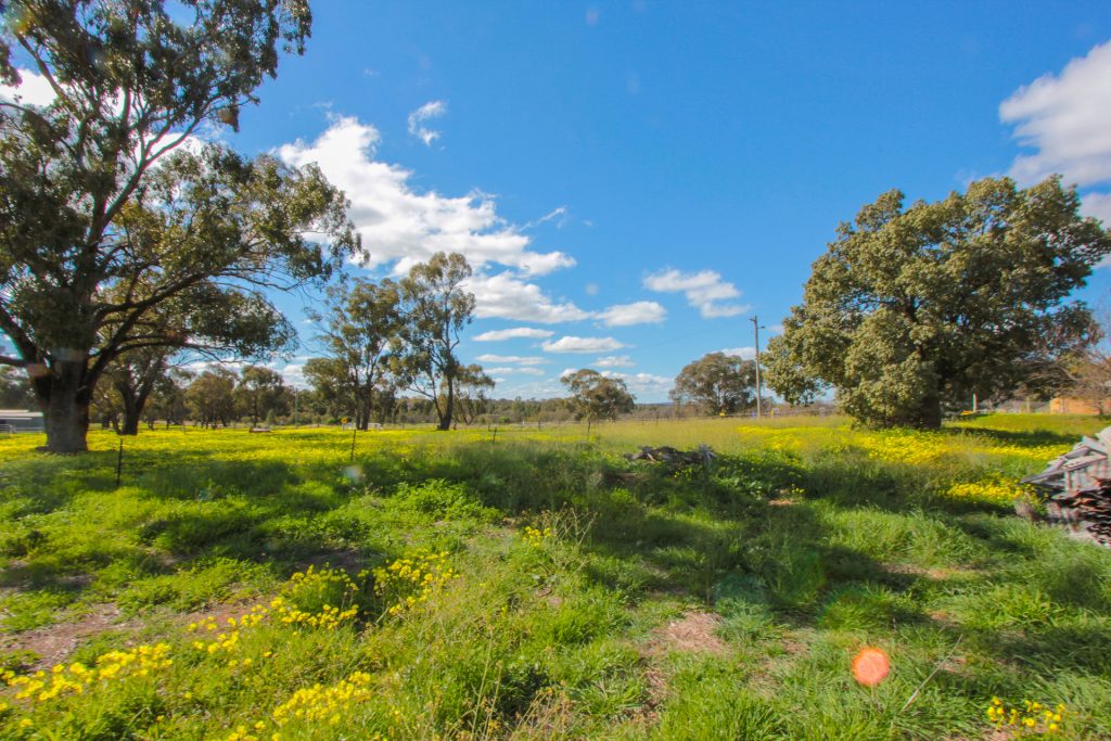 2-6 Adams Street, Narrandera NSW 2700 - photo 7