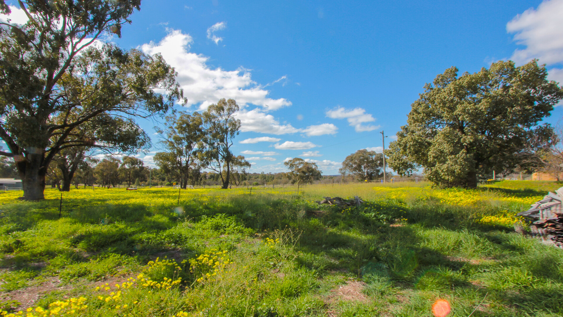 2-6 Adams Street, Narrandera NSW 2700 - photo 7
