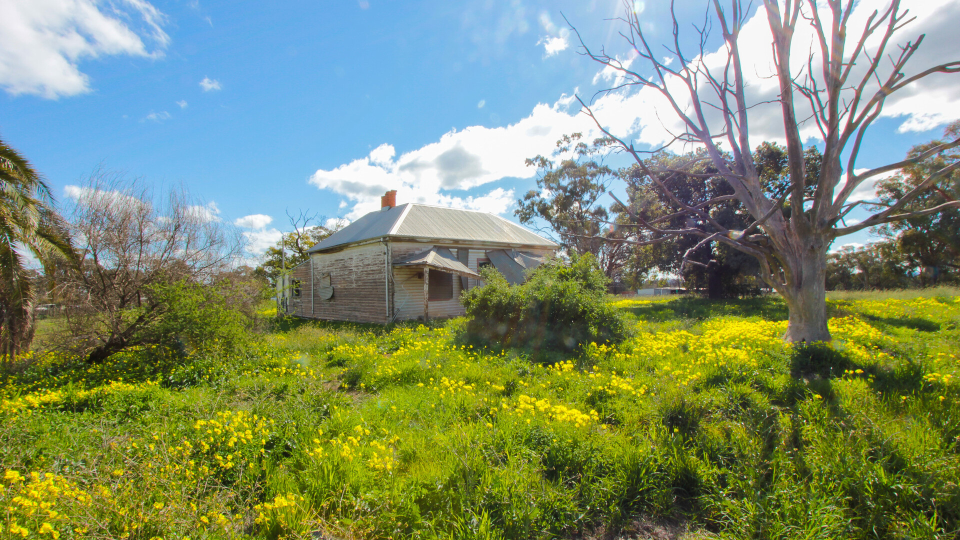 2-6 Adams Street, Narrandera NSW 2700 - photo 8